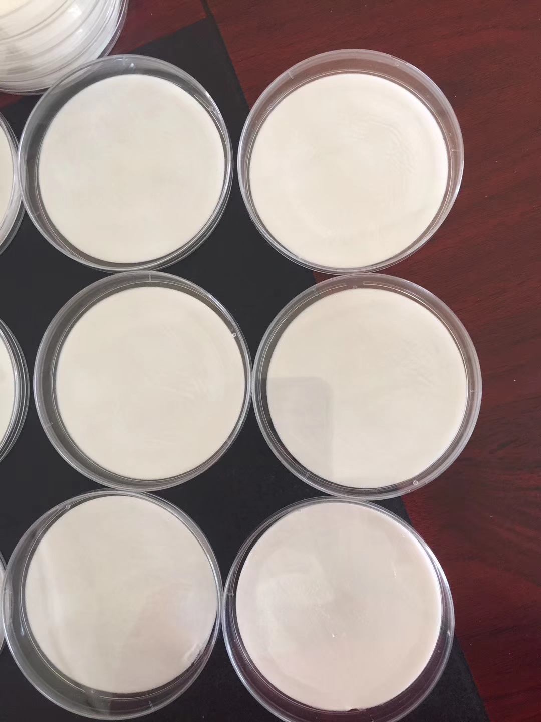 มม.ส่งออก1568772632248